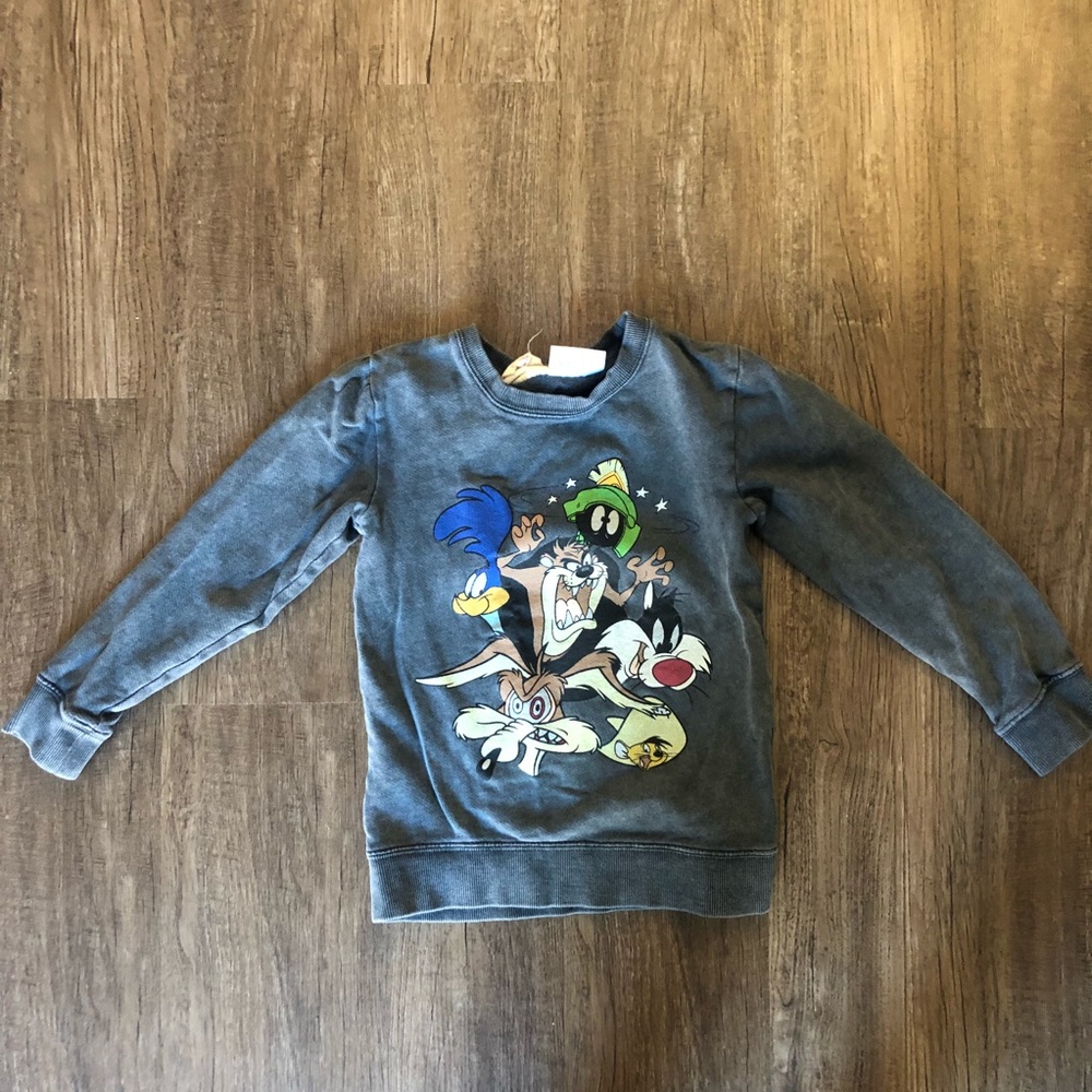Boys Looney Tunes Sweatshirt